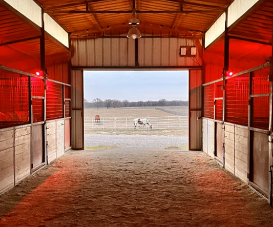 XTi Blaze™ Stall Lamp - XTi